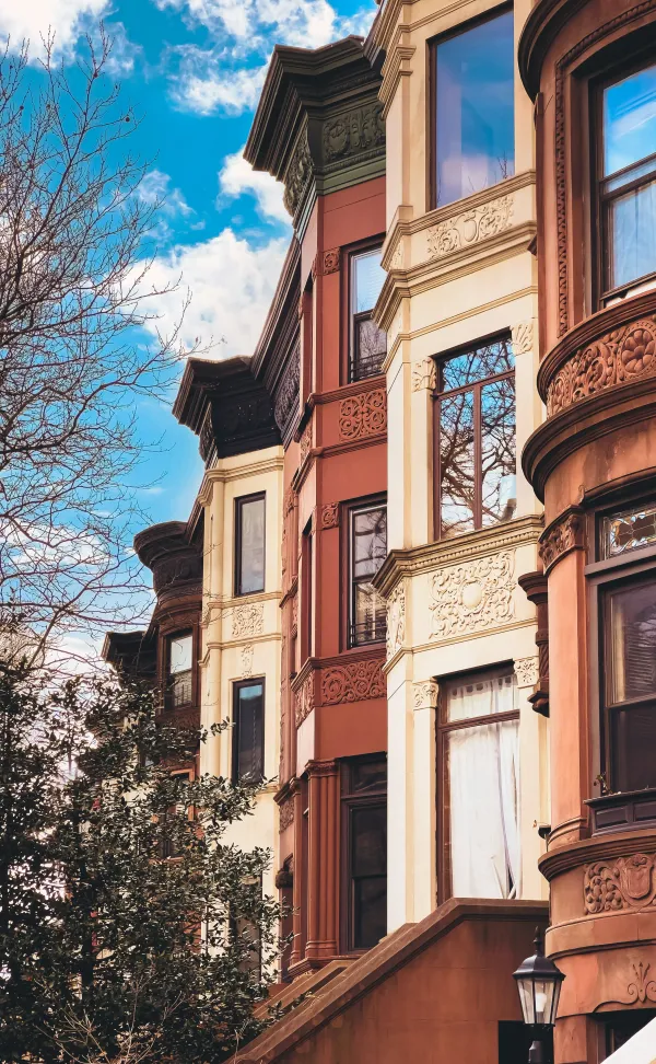 crown-heights.webp